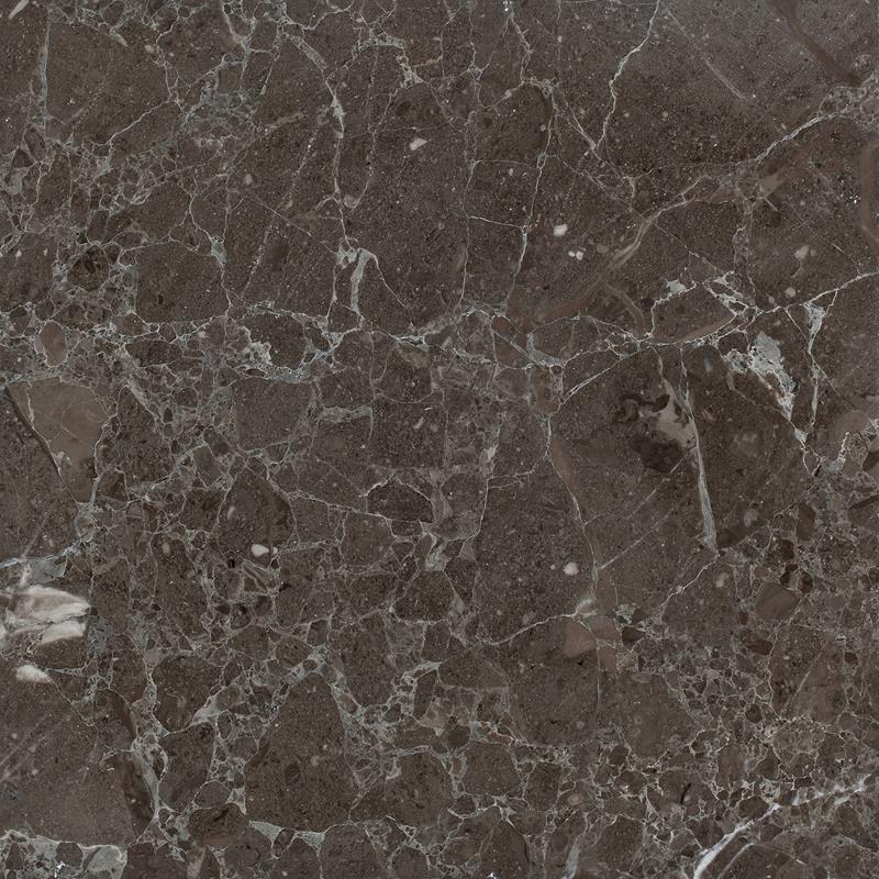 Savana Grey